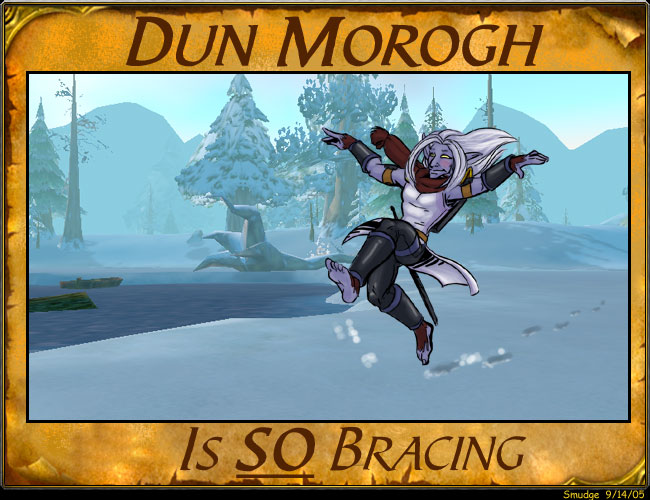 The Quest Continues: Dun Morogh
